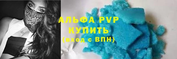 индика Алексин